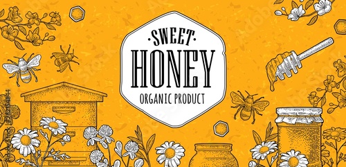 Horizontal poster honey. Vector vintage color engraving