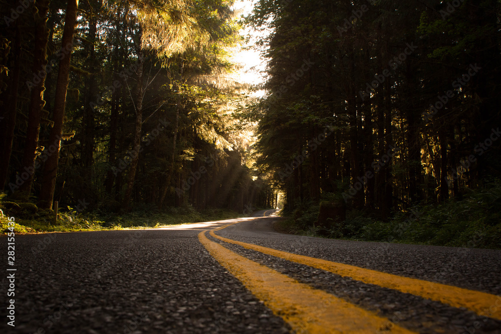 Fototapeta premium Follow