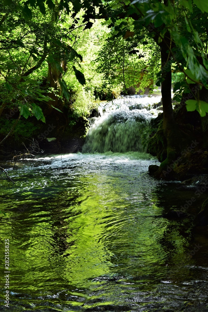Naklejka premium waterfall in the forest