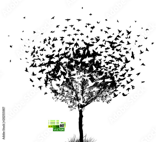 The silhouette of a tree with birds flying. Vector illustration