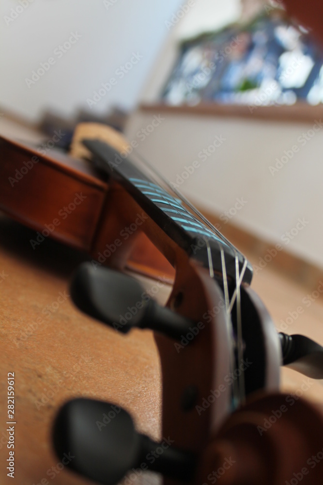 Close up violín Aldo Close up violín Aldo
