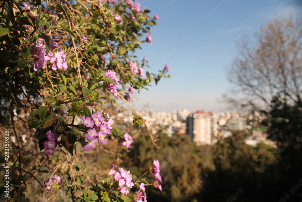 Chapultepec