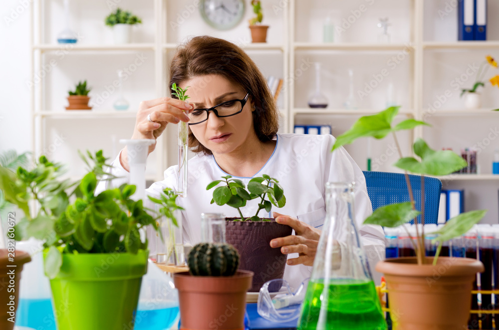 Old female biotechnology chemist working in the lab Old female biotechnology chemist working in the lab