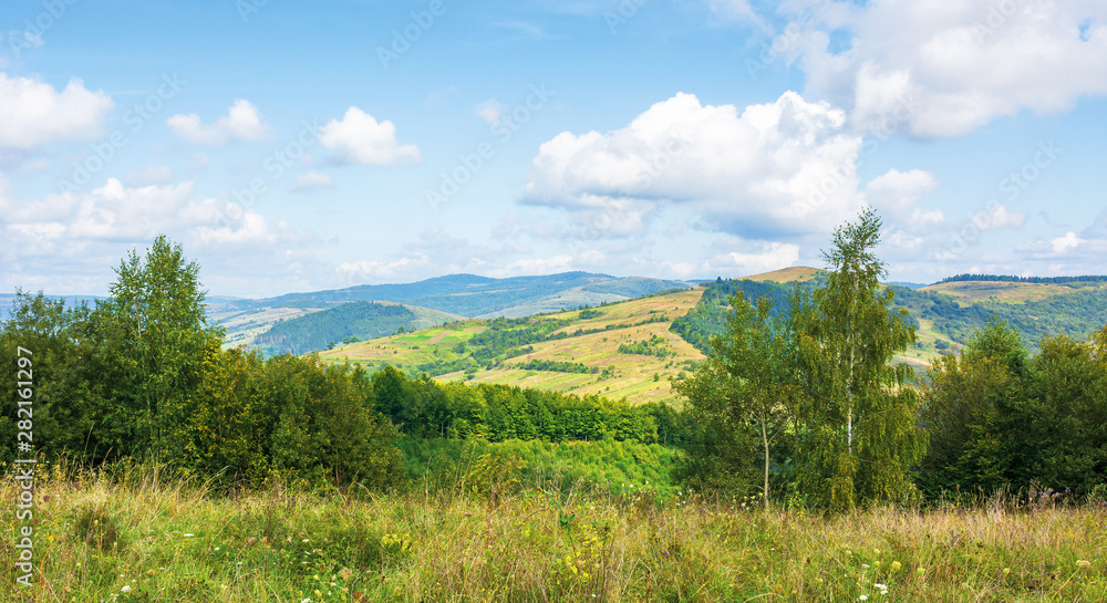 beautiful countryside in mountain. sunny weather. clouds on the blue sky beautiful countryside in mountain. sunny weather. clouds on the blue sky