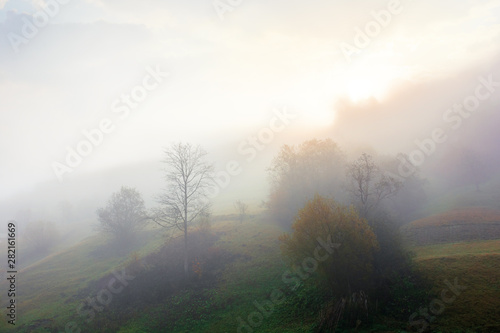 thick fog in autumn countryside. trees on hills in rural area. sunlight breaking through. mysterious weather phenomenon