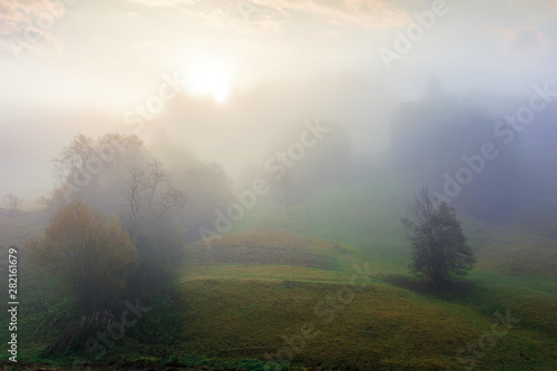 thick fog in autumn countryside. trees on hills in rural area. sunlight breaking through. mysterious weather phenomenon © Pellinni