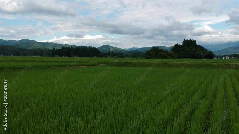 日本の夏 田園風景 空撮 7月 日本の夏 田園風景 空撮 7月