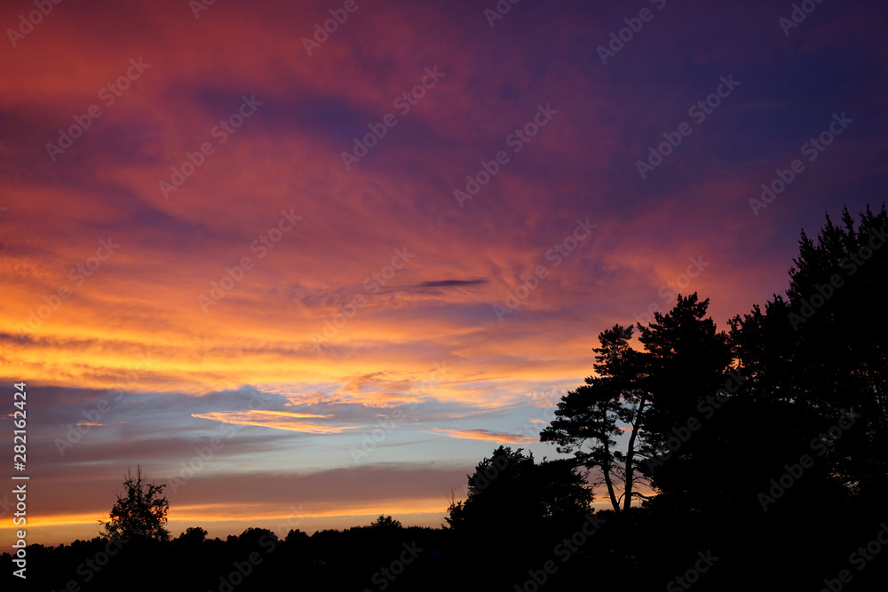 Beautiful colorful sunset with purple and pink clouds over a dark forest silhouette
