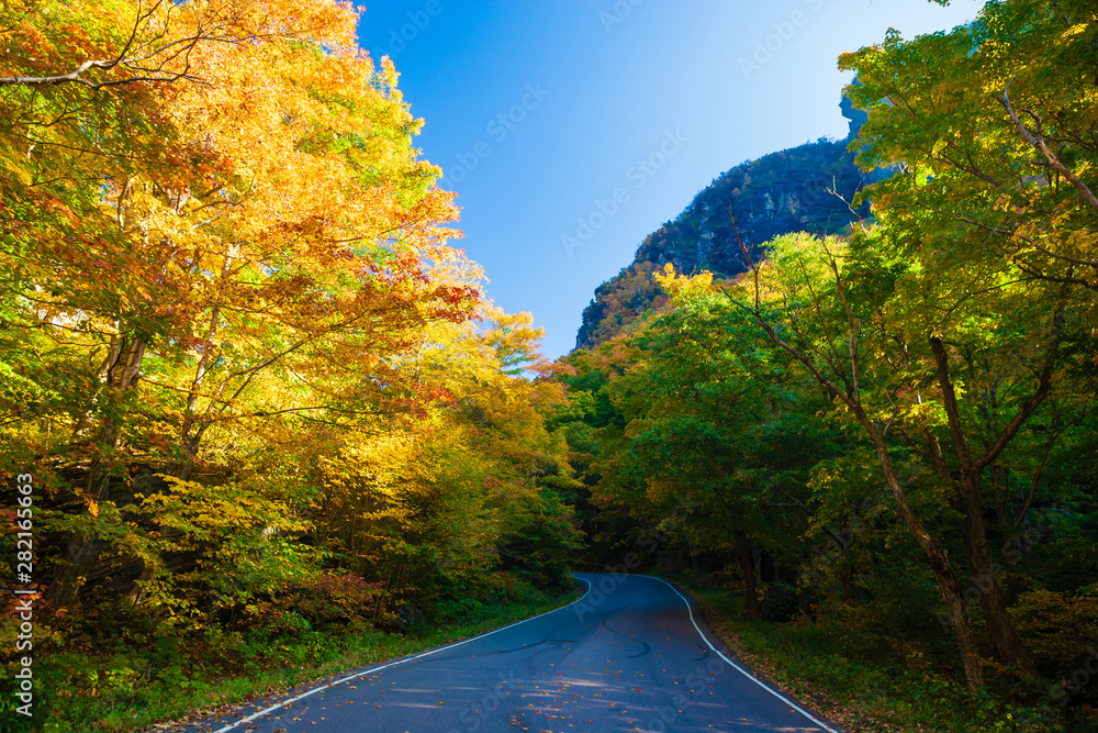 Mountain road on an autumn morning.