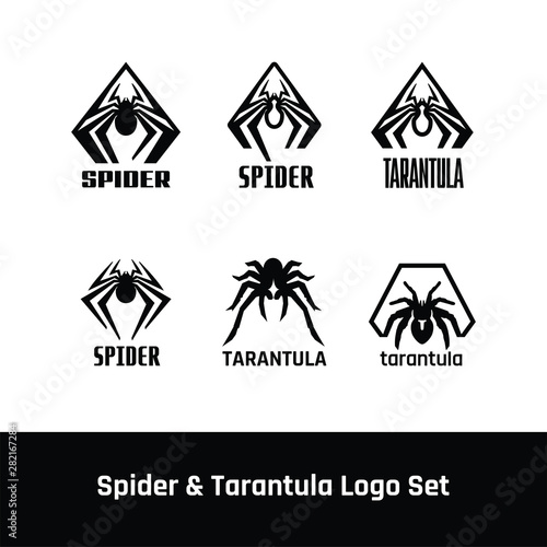 Spider & Tarantula logo icon emblem design vector template - Vector