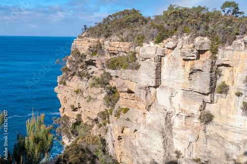 Steep sandstone cliffs covered with eucalyptus forest and blue ocean landscape