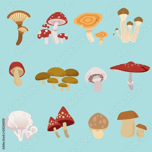 The collection of mushroom pack set. a many type of mushroom on the blue background. season of mushroom. cute mushroom in flat vector style.