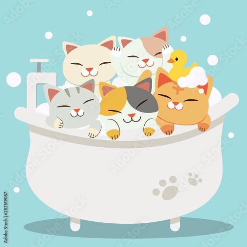 The group of character cute cats taking a bath with bathtub they look very happy .The cats sitting in the bathtub with yellow rubber duck. cute cat in flat vector style.