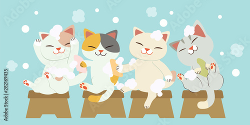 The character of cute cats washing hair together.The cats smiling and it look so fun.the cats washing hair with a lot of bubble on the blue background.the character of cute cat in flat vector 