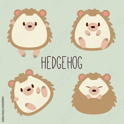 The collection for character cartoon of cute hedgehog with many action. The cute hedgehog sitting on the green background. The hedgehog sleeping. The cute character of hedgehog in flat vector.
