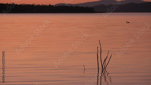 Cormorant Bay in Lake Wivenhoe, Queensland, apart of Wivenhoe Dam. photo