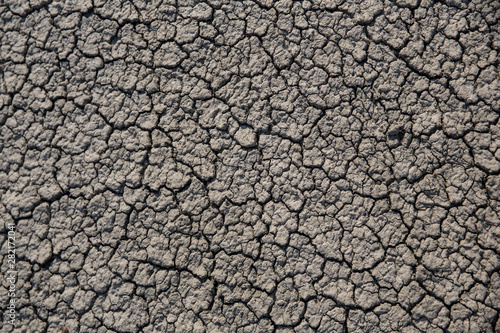 Cracked earth background. Close up cracked earth background