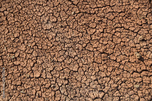 Cracked earth background. Close up cracked earth background