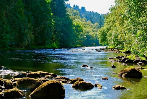 Tualatin River 1