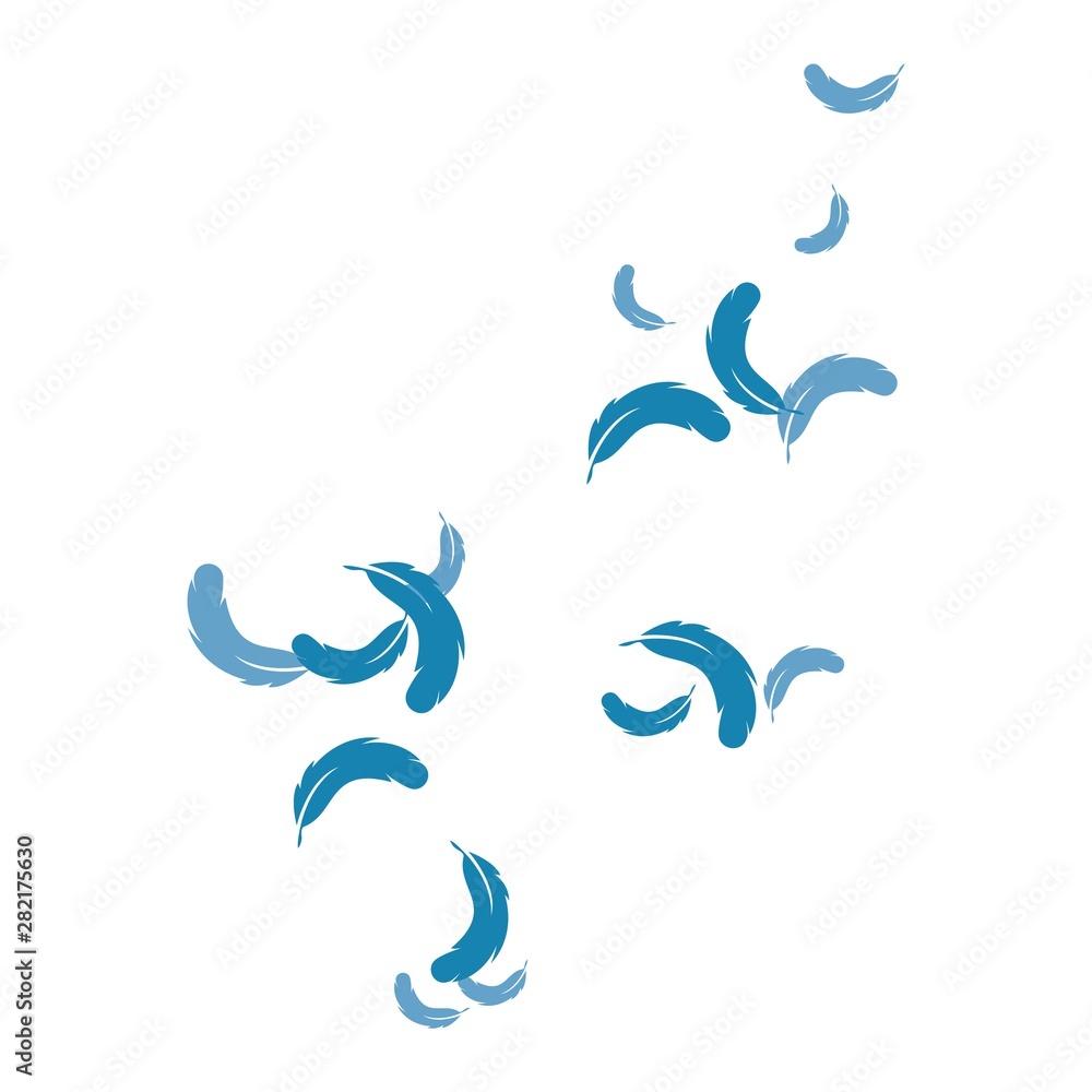 Obraz premium Feather background