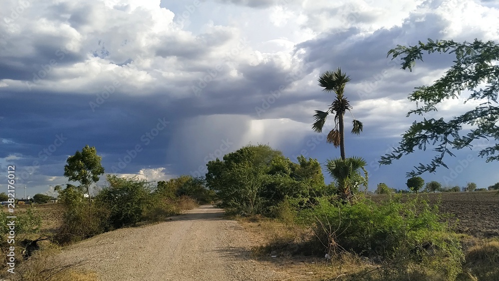 Obraz premium landscape with trees and blue sky
