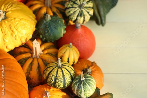 Autumn pumpkin.Multicolored decorative pumpkins set on wooden yellow background.Autumn harvest.copy space.