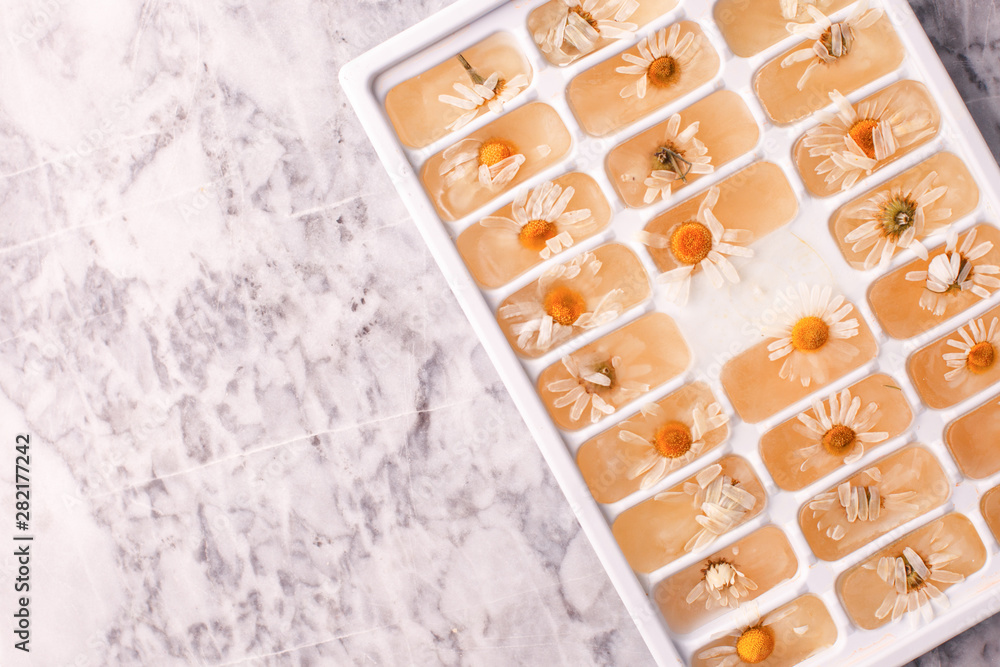 Herbal ice cubes, summer refreshing skincare.Fresh frozen herbs daisy camomile flowers on marble plate. Alternative medicine cosmetic beauty care concept Herbal ice cubes, summer refreshing skincare.Fresh frozen herbs daisy camomile flowers on marble plate. Alternative medicine cosmetic beauty care concept