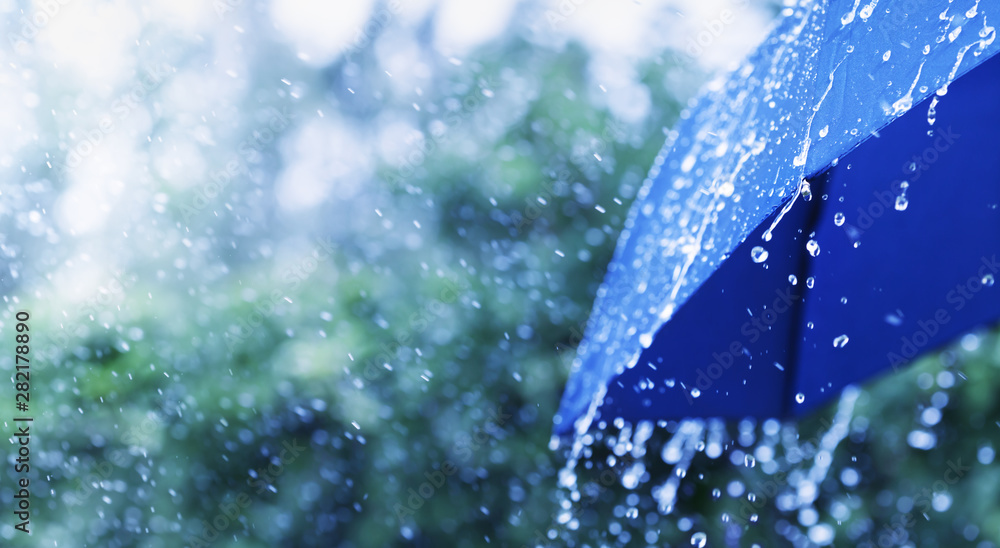 Lifestyle scene of rainy weather. Blue umbrella under rainfall. Banner  format. Photos | Adobe Stock