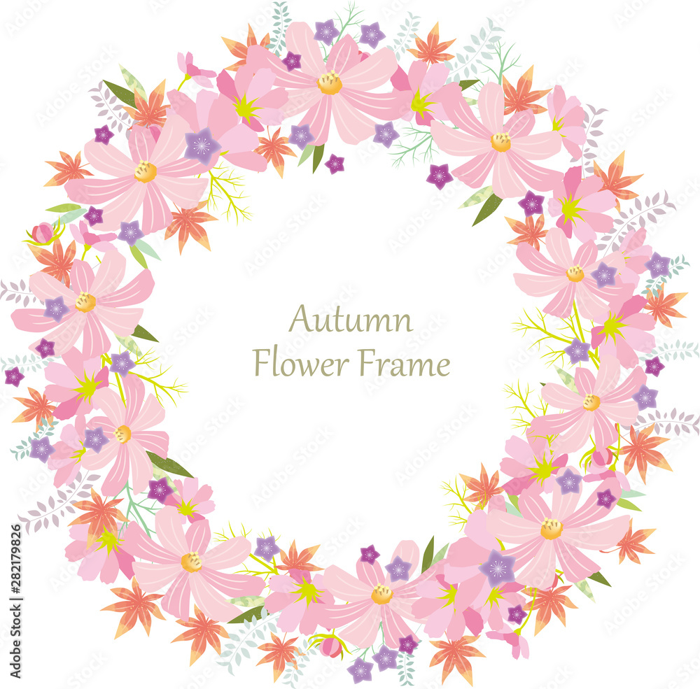 コスモス　フレーム　囲み枠　枠　背景　水彩　秋　花　背景　背景素材　満開　9月　10月　11月　ピンク　日本　和風　和