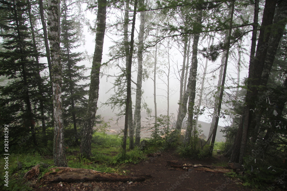 Obraz premium Nature