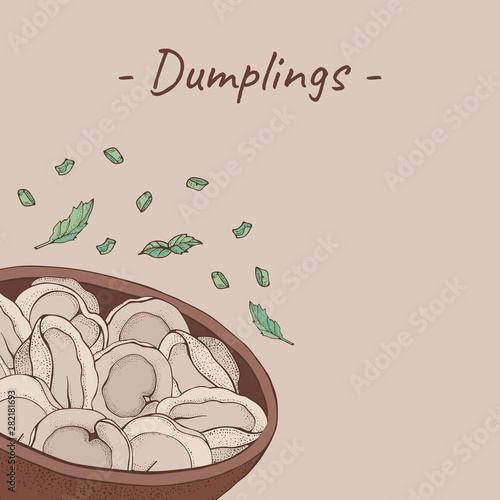 Plate of dumplings background. Cartoon hand drawn Ravioli with spices. Vareniki. Pelmeni. Meat dumplings. Food. Cooking. National dishes. Products from the dough and meat