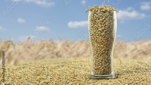 Tableau sur toile Dry malt beans ready to be used to brew the beer or the pure light or dark malt whiskey