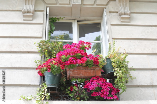 Flower pot window box Paris France
