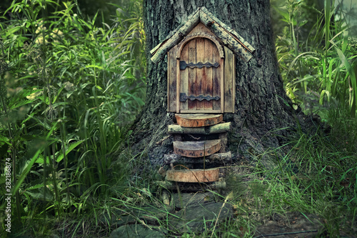 fairytale forest house. Little wooden fairy door in tree trunk. tree house in woodland setting, pixie or elf home. rustic wooden door built into foot of tree trunk in woods. soft selective focus