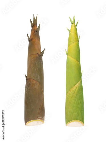 Pair Shoot of Bamboo isolated on white background with clipping path