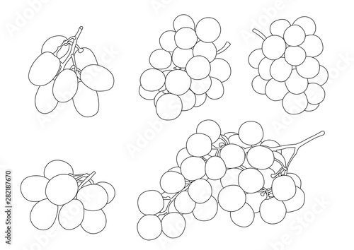Line durian fruit on white background  illustration vector 