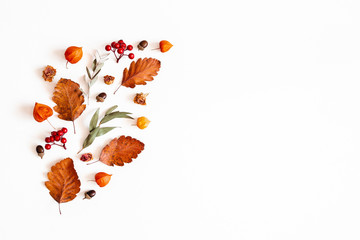 Autumn composition. Physalis flowers, eucalyptus leaves, rowan berries on white background. Autumn, fall, thanksgiving day concept. Flat lay, top view, copy space