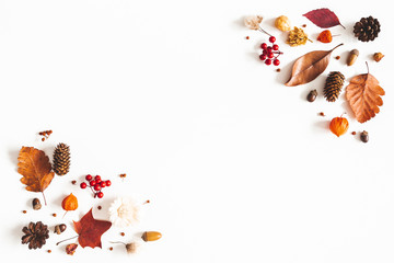 Autumn composition. Dried leaves, flowers, berries on white background. Autumn, fall, thanksgiving day concept. Flat lay, top view, copy space