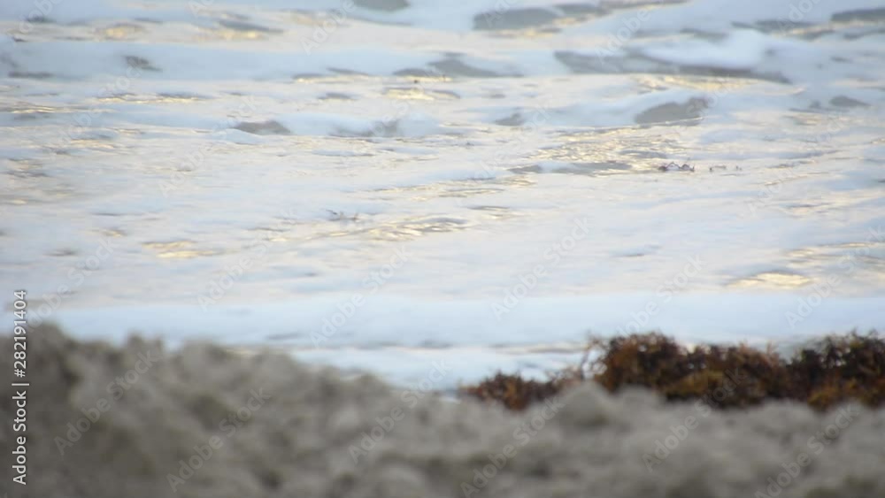 Ocean waves wash over fine sand beach on sunrise Ocean waves wash over fine sand beach on sunrise