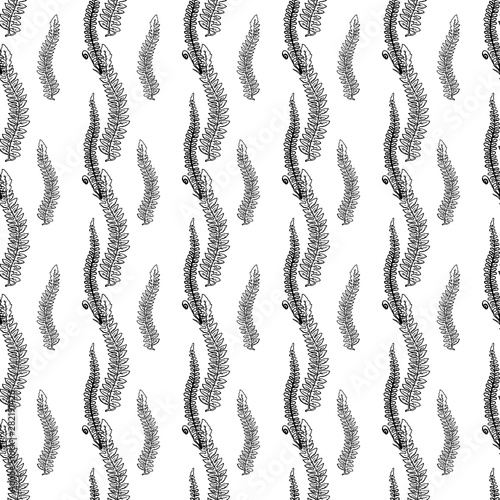 Botanical seamless pattern in vintage style. Various leaves of ferns  cones  horsetail  calamus  sow thistle  wheat grass  holly. Vector engraving black and white illustration.