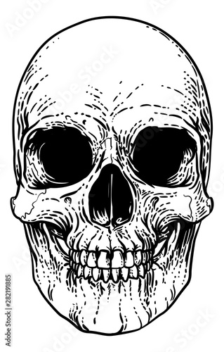 A skull graphic. Original illustration in a vintage engraving woodcut etching style.