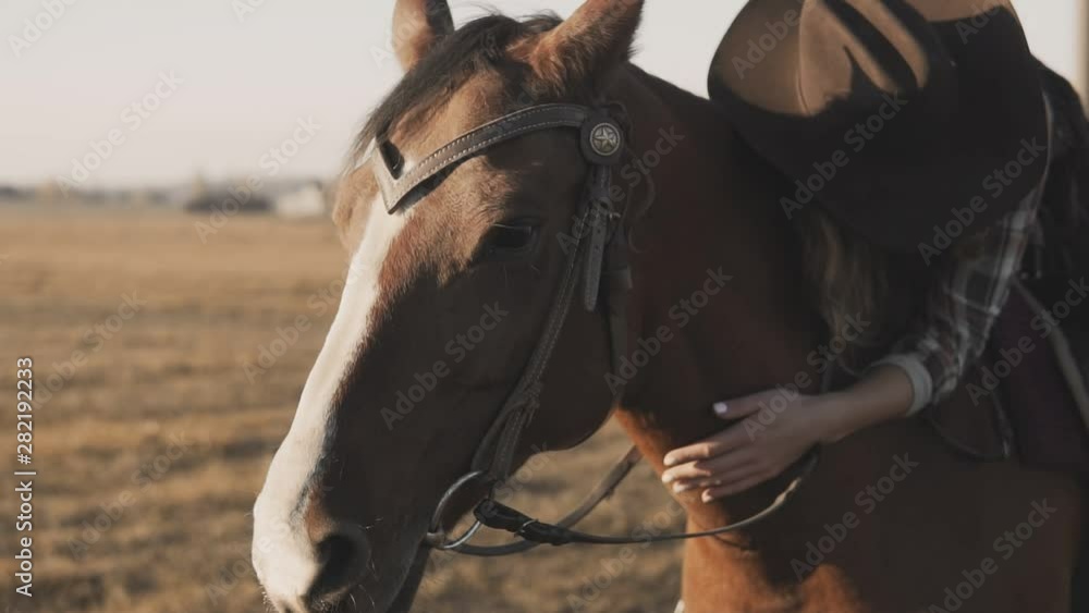 Woman smoothes horse's mane. Close-up of female sitting on horse and caresses mane with her hand. Woman smoothes horse's mane. Close-up of female sitting on horse and caresses mane with her hand.