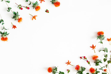 Autumn composition. Frame made of orange flowers on white background. Autumn, fall concept. Flat lay, top view, copy space