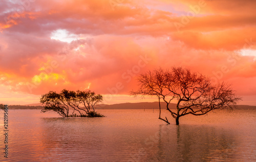 Sunset and storm clouds over mangroves