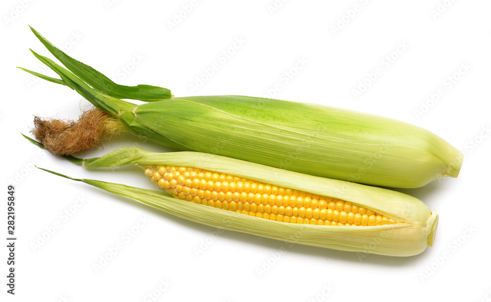 Fresh corn cobs on white background Fresh corn cobs on white background