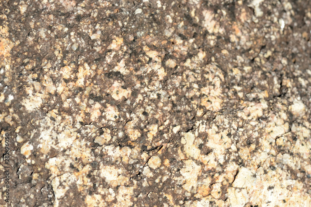 Stone texture on the seashore close up. Natural abstract ackground Stone texture on the seashore close up. Natural abstract ackground