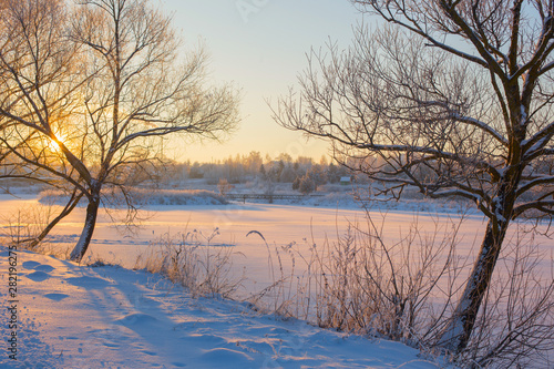 winter morning with snow and frost
