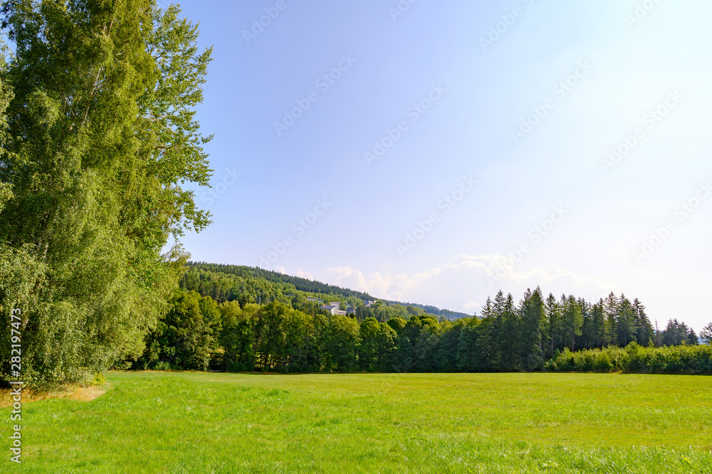 Fototapeta premium Waldlandschaft in Sachsen, Voigtland
