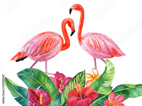Watercolor illustration of beautiful flamingo among tropical leaves isolated on white background © ElenaDoroshArt