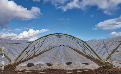 The Entrance to a Farm Polytunnel  one of many in a Field in Arbroath where Strawberries and other soft fruit is grown in Scotland.